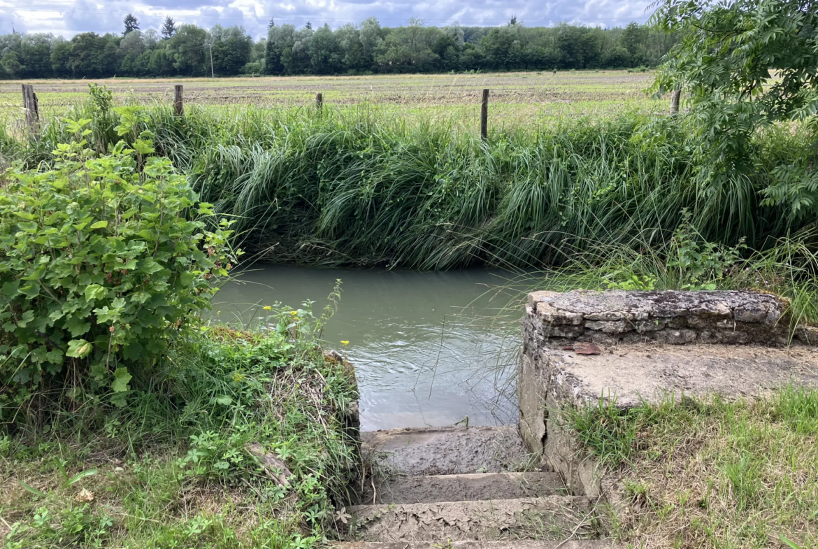 Charmante longère au bord de la Nièvre à Dompierre 