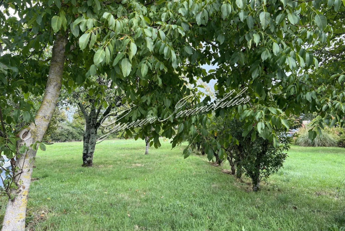 Charmante maison ancienne à rénover à Germigny l'Exempt 