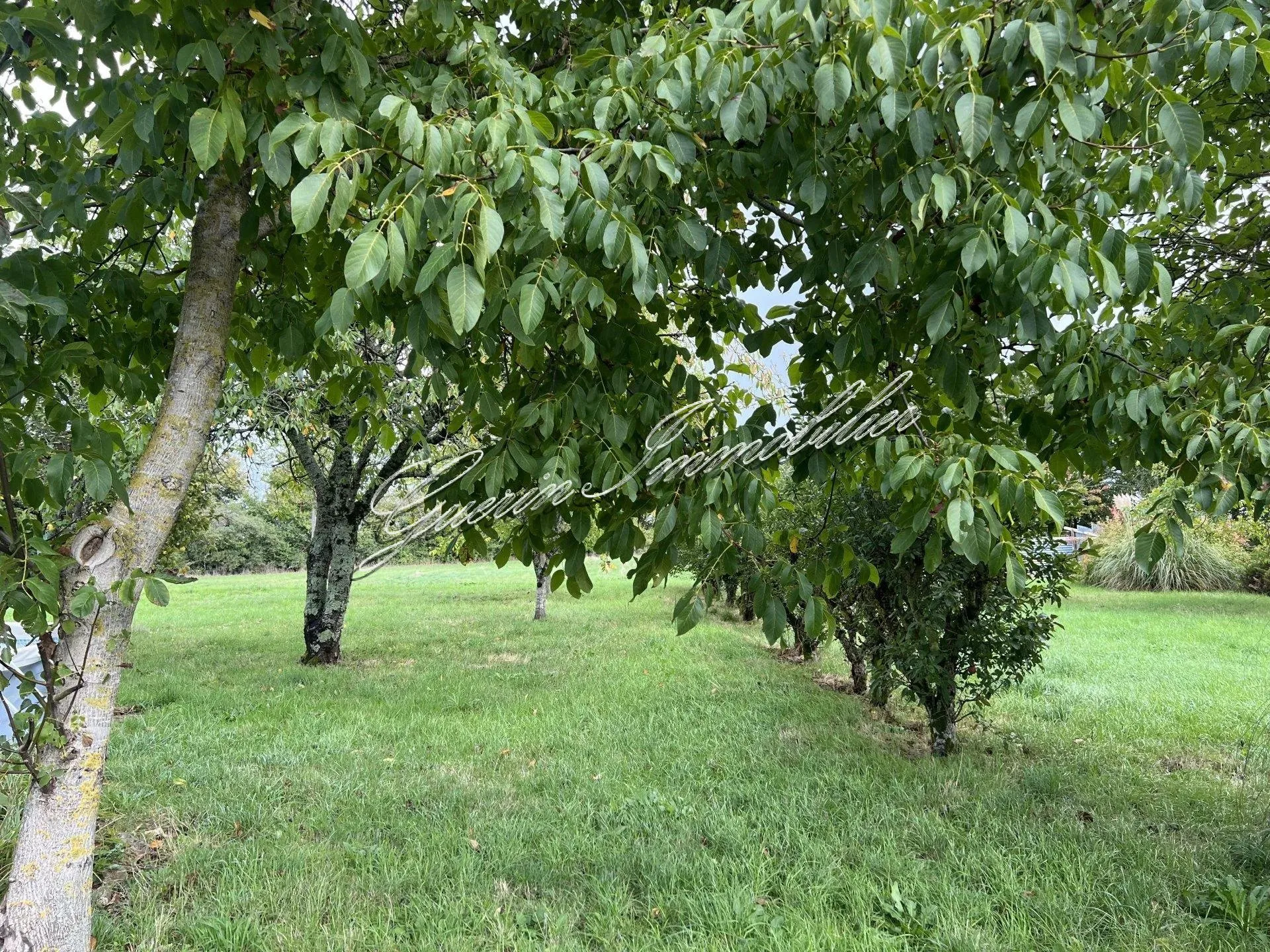 Charmante maison ancienne à rénover à Germigny l'Exempt 