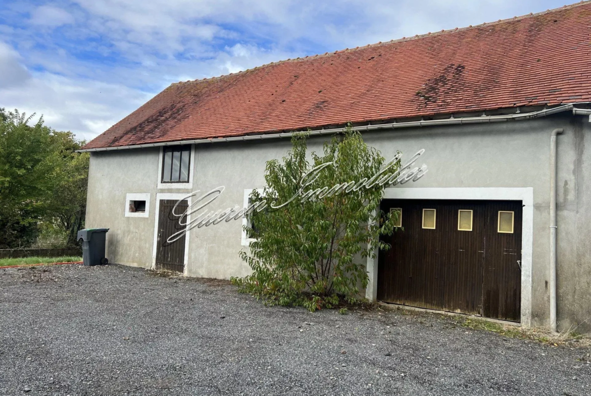 Charmante maison ancienne à rénover à Germigny l'Exempt 