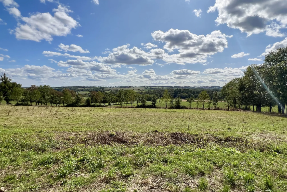 Bâtisse en pierre à rénover de 400 m² à Pancé 