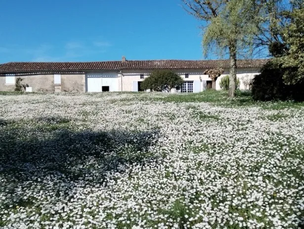 Longère avec dépendances à St Vincent de Pertignas 