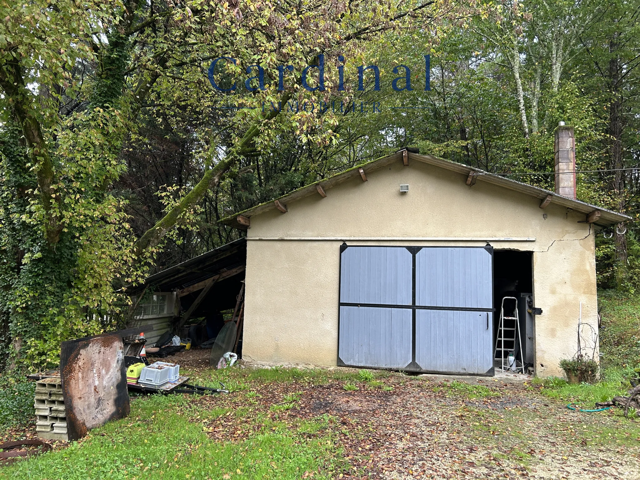 Charmante maison 160 m² avec parc arboré à Saint-Léon-Sur-L'Isle 