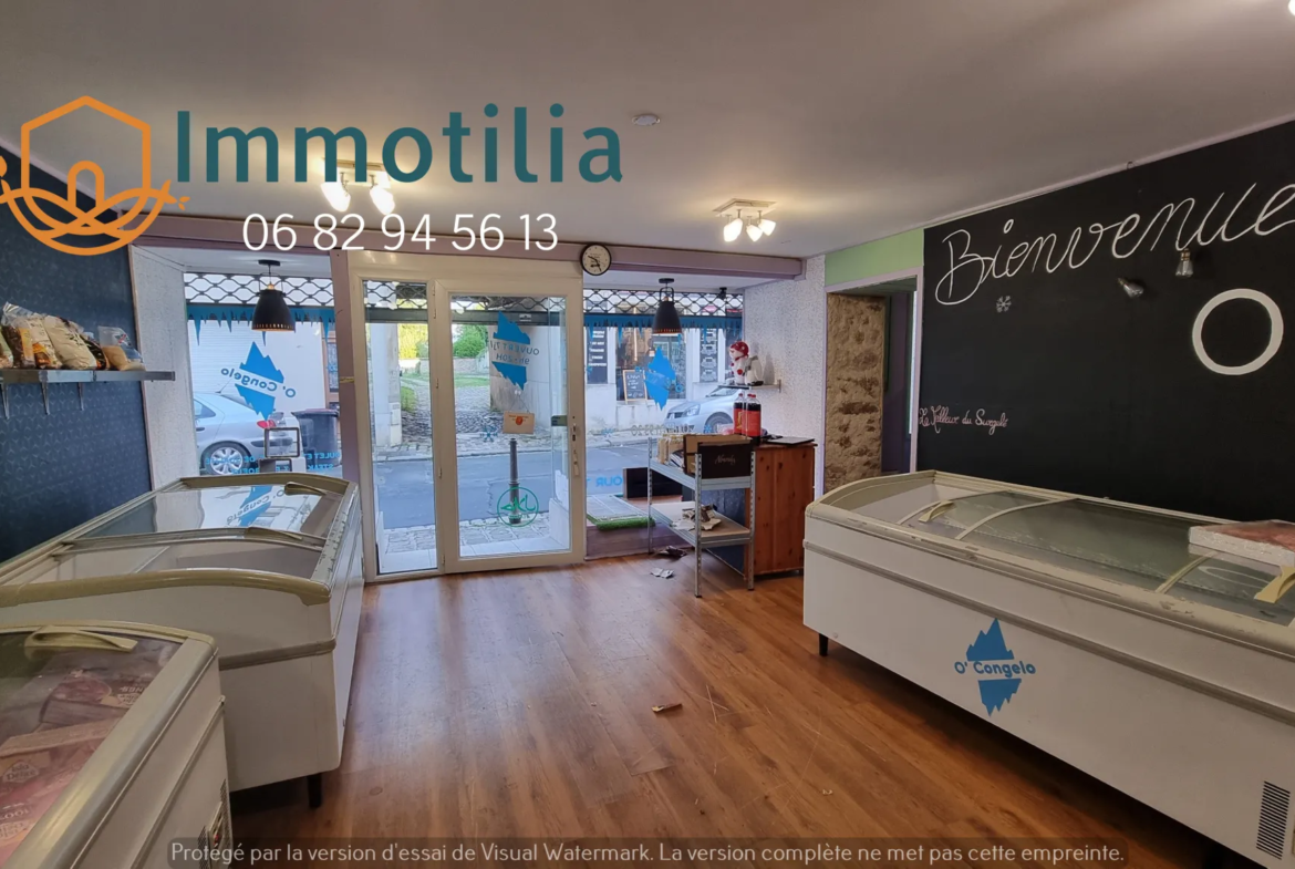 Immeuble à vendre à Nangis - Appartement F5 et local commercial 