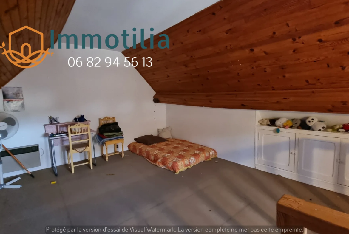 Immeuble à vendre à Nangis - Appartement F5 et local commercial 