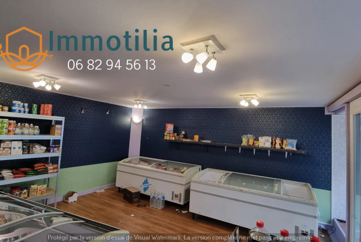 Immeuble à vendre à Nangis - Appartement F5 et local commercial 