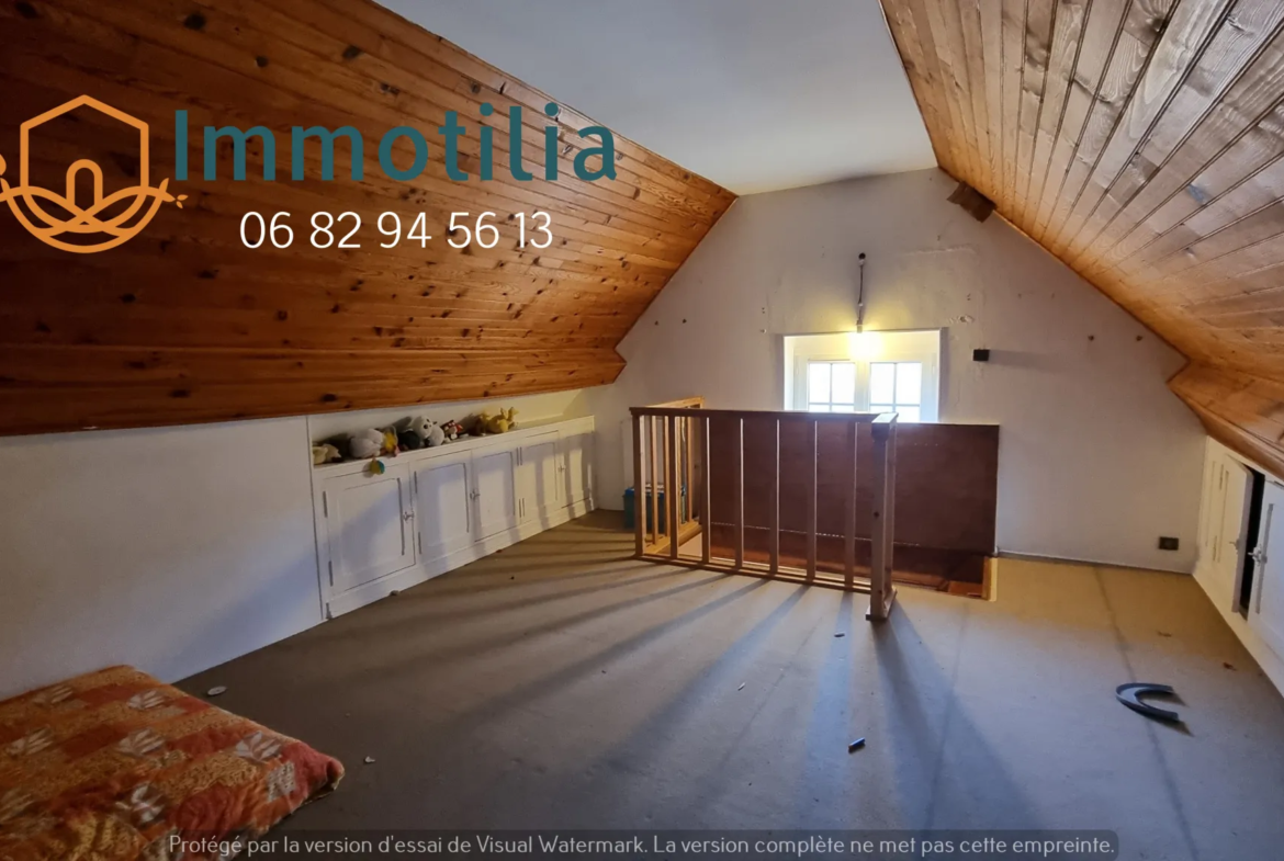 Immeuble à vendre à Nangis - Appartement F5 et local commercial 