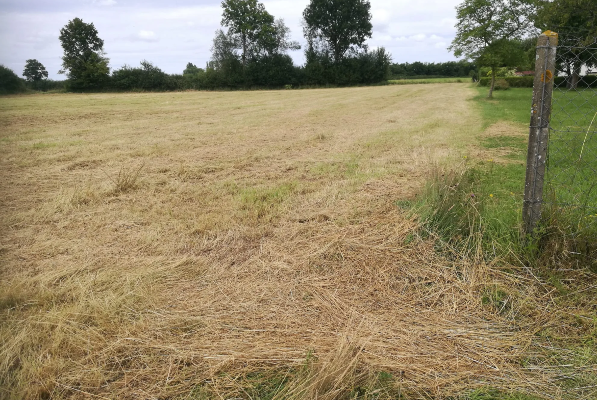 Maison familiale à vendre à Hauterive - 140 m² avec terrain de 20 000 m² 