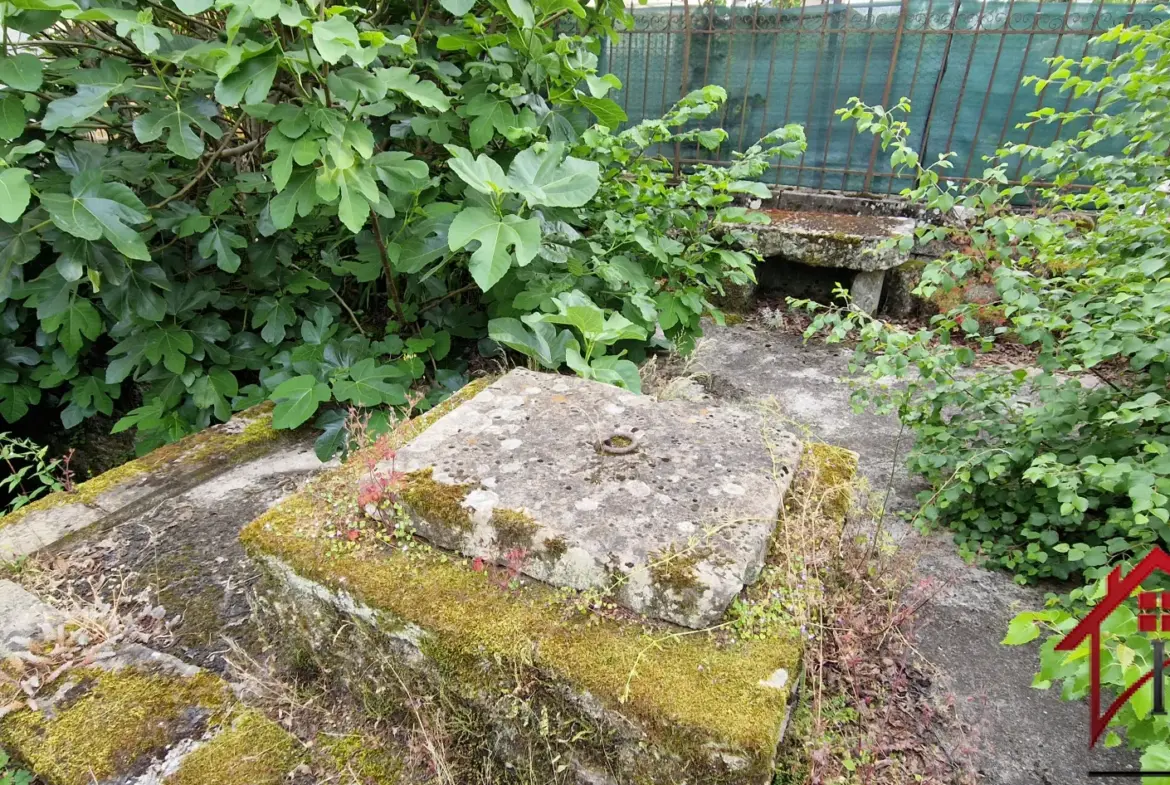 Charmante maison ancienne à Chatillon sur Saône avec vues panoramiques 