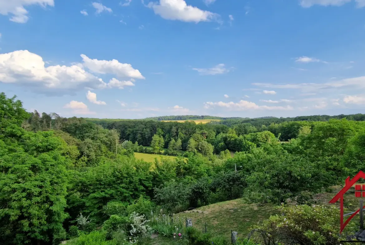 Charmante maison ancienne à Chatillon sur Saône avec vues panoramiques 