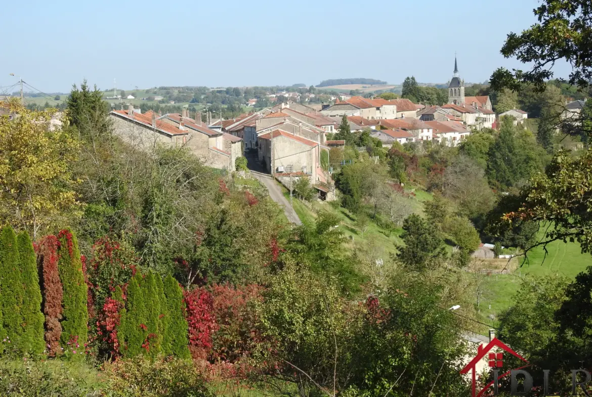 Charmante maison ancienne à Chatillon sur Saône avec vues panoramiques 