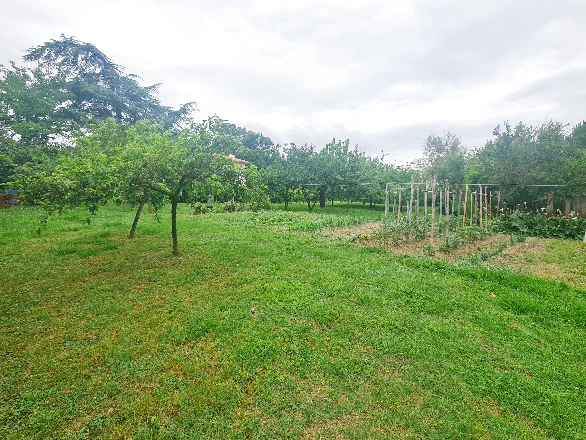 Terrain plat de 1494 m² viabilisé à Lézat-sur-Lèze 