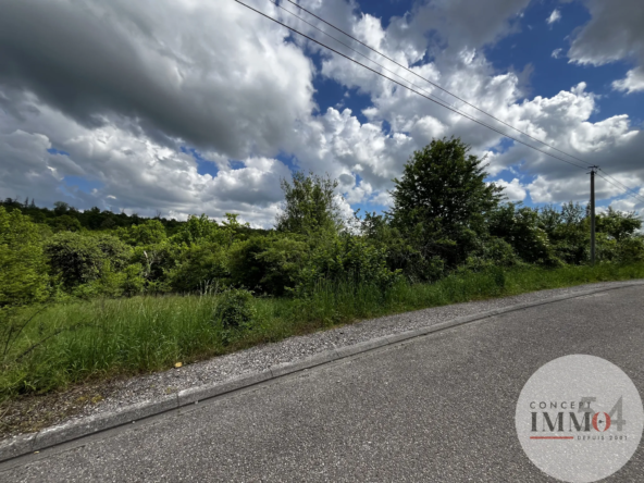 Terrain constructible à vendre à Liverdun - 2723 m²