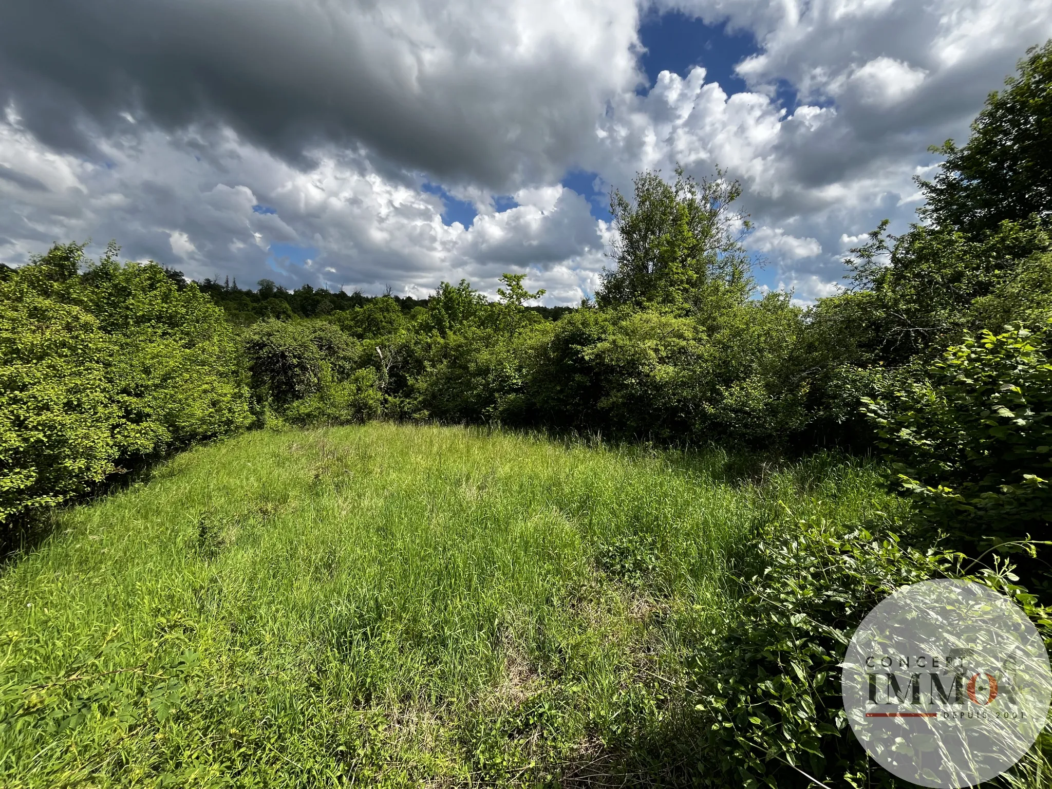 Terrain constructible à vendre à Liverdun - 2723 m² 