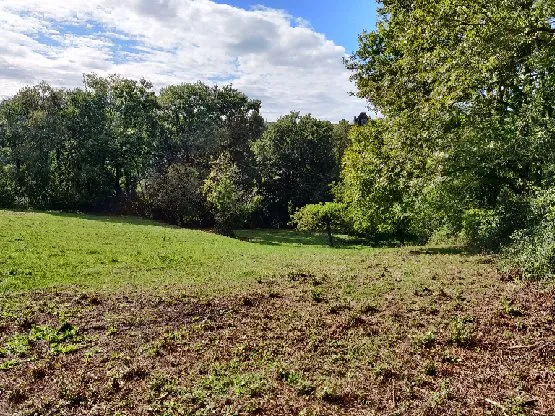 Terrain à bâtir de 4480 m² à Saillac, 2 km de Collonges-la-Rouge 