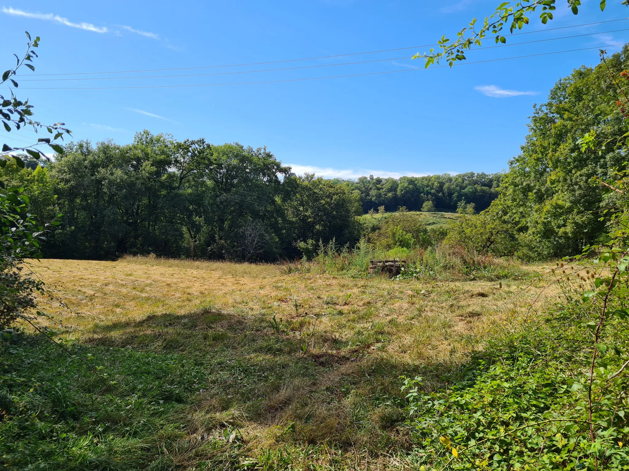 Terrain à bâtir de 4480 m² à Saillac, 2 km de Collonges-la-Rouge 