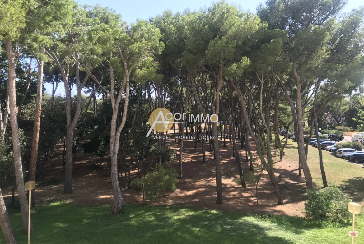 Appartement rénové avec terrasse à 200 m de la plage à Six-Fours-les-Plages 