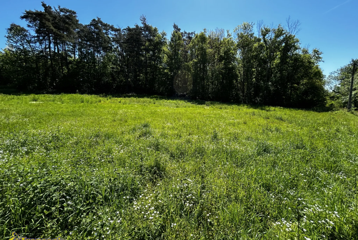 Terrain constructible de 2300 m2 à Paslières à vendre 