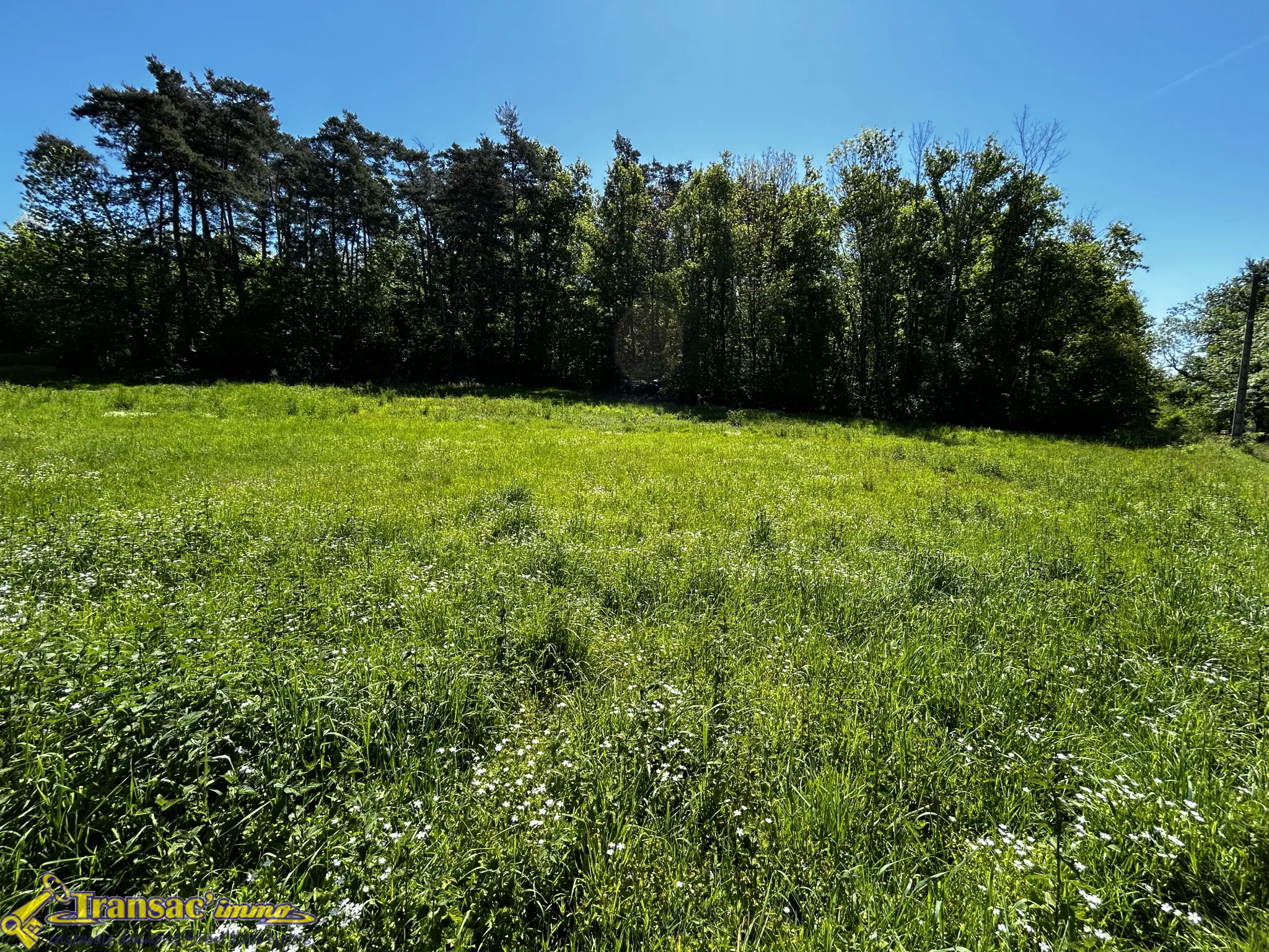 Terrain constructible de 2300 m2 à Paslières à vendre 