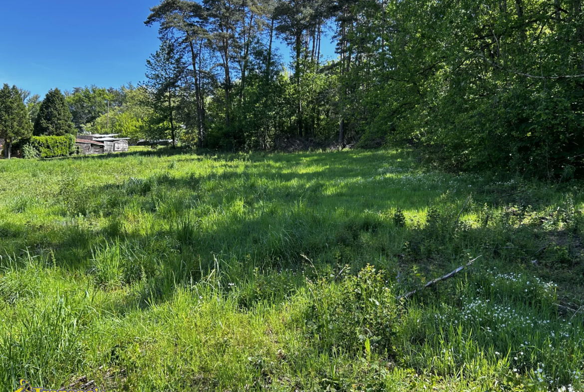 Terrain constructible de 2300 m2 à Paslières à vendre 