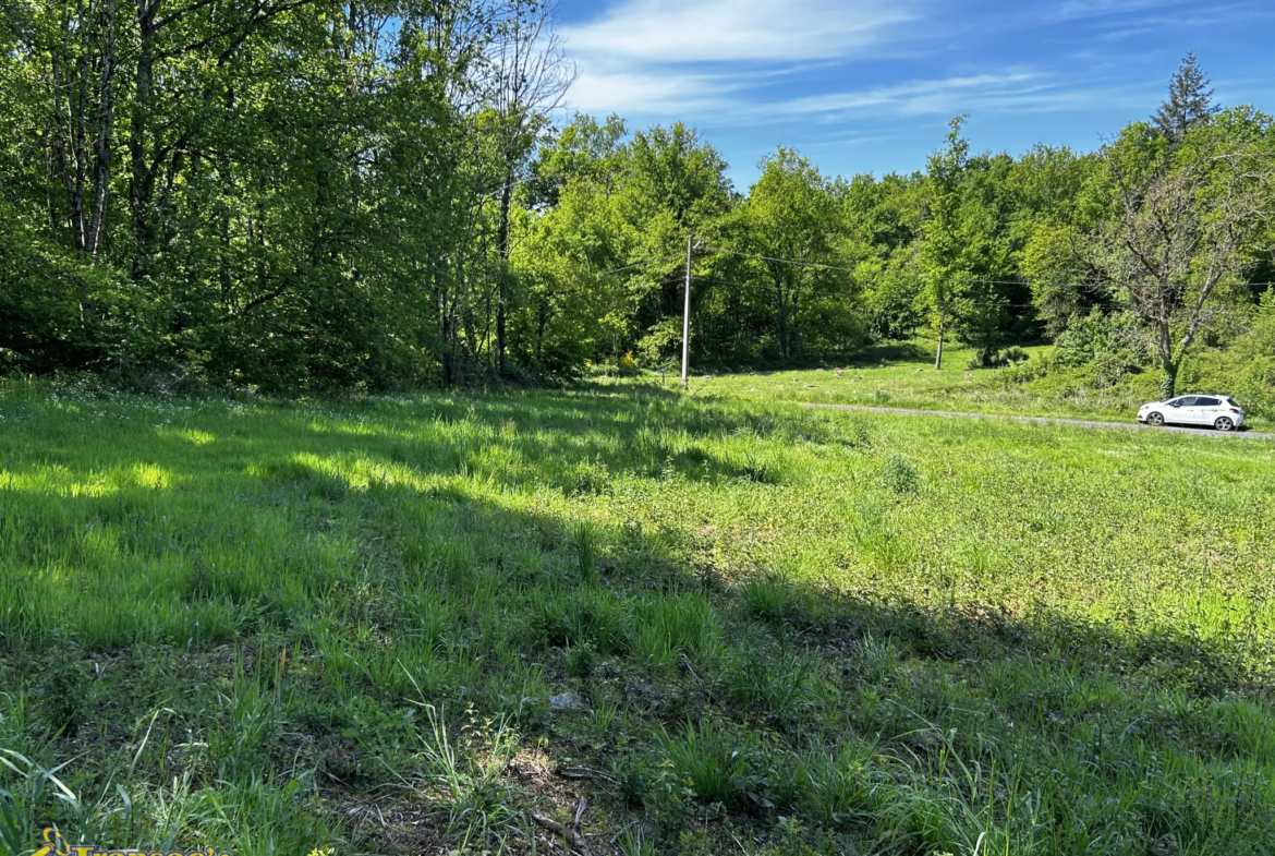 Terrain constructible de 2300 m2 à Paslières à vendre 