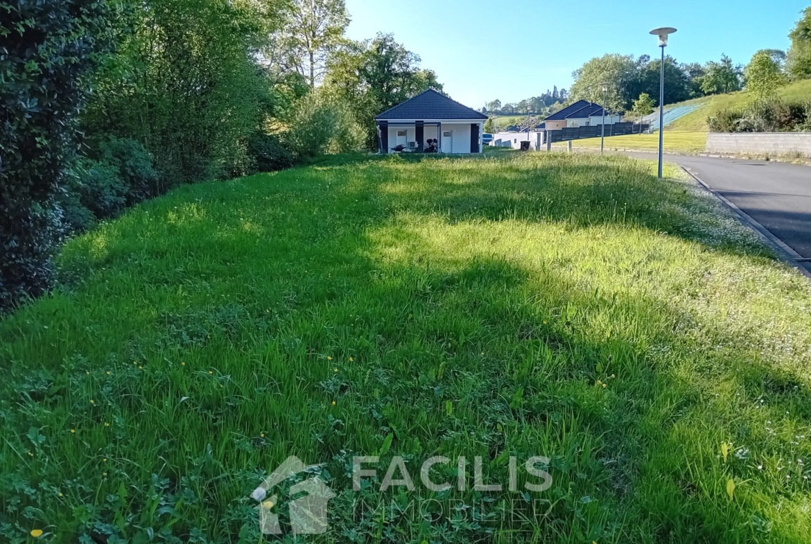 Terrain constructible de 893 m² à Monein à vendre ! 