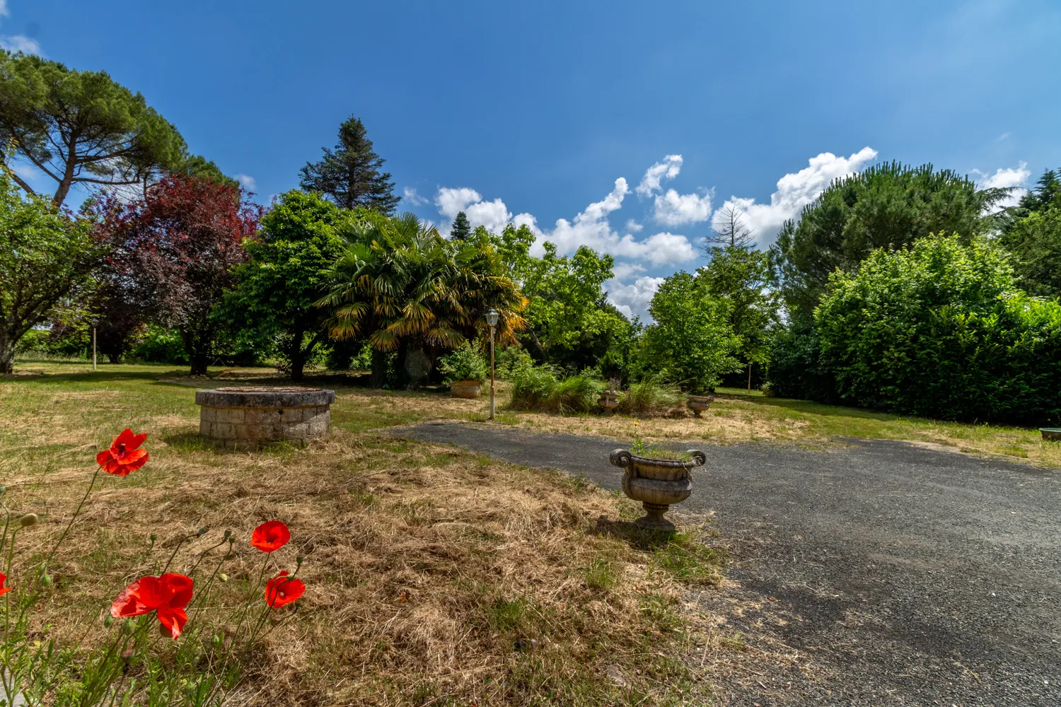 Maison à Bussac-sur-Charente avec piscine et terrain de 18 000 m2 