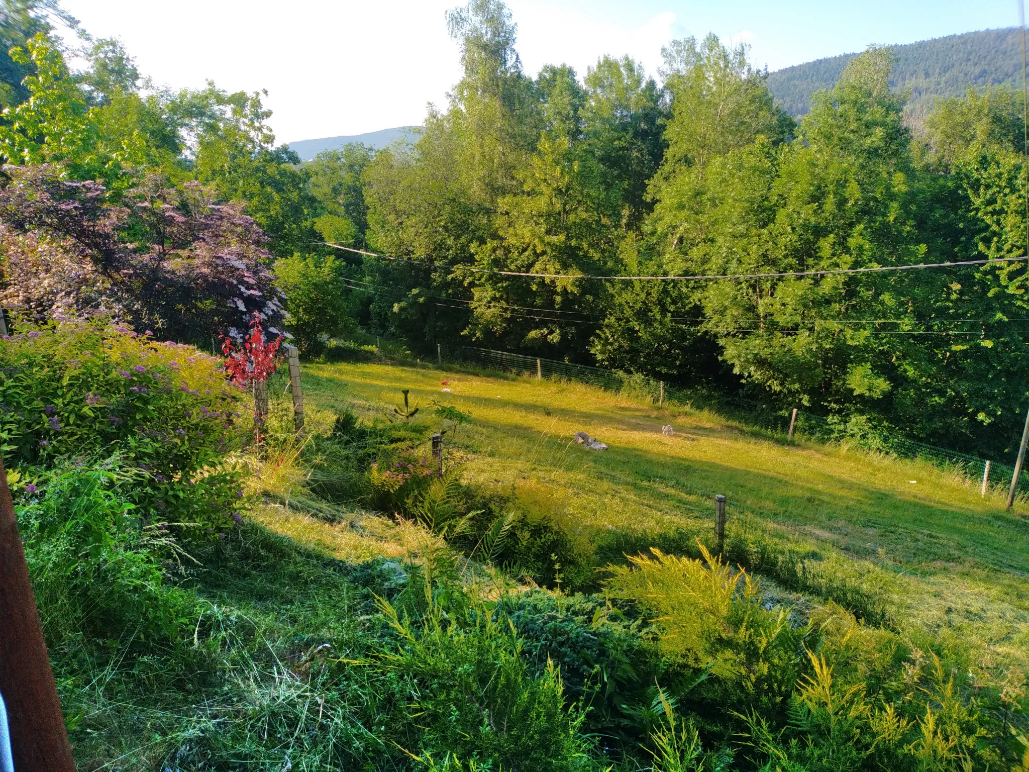 Ferme Rénovée de Charme à Proximité de Gérardmer 