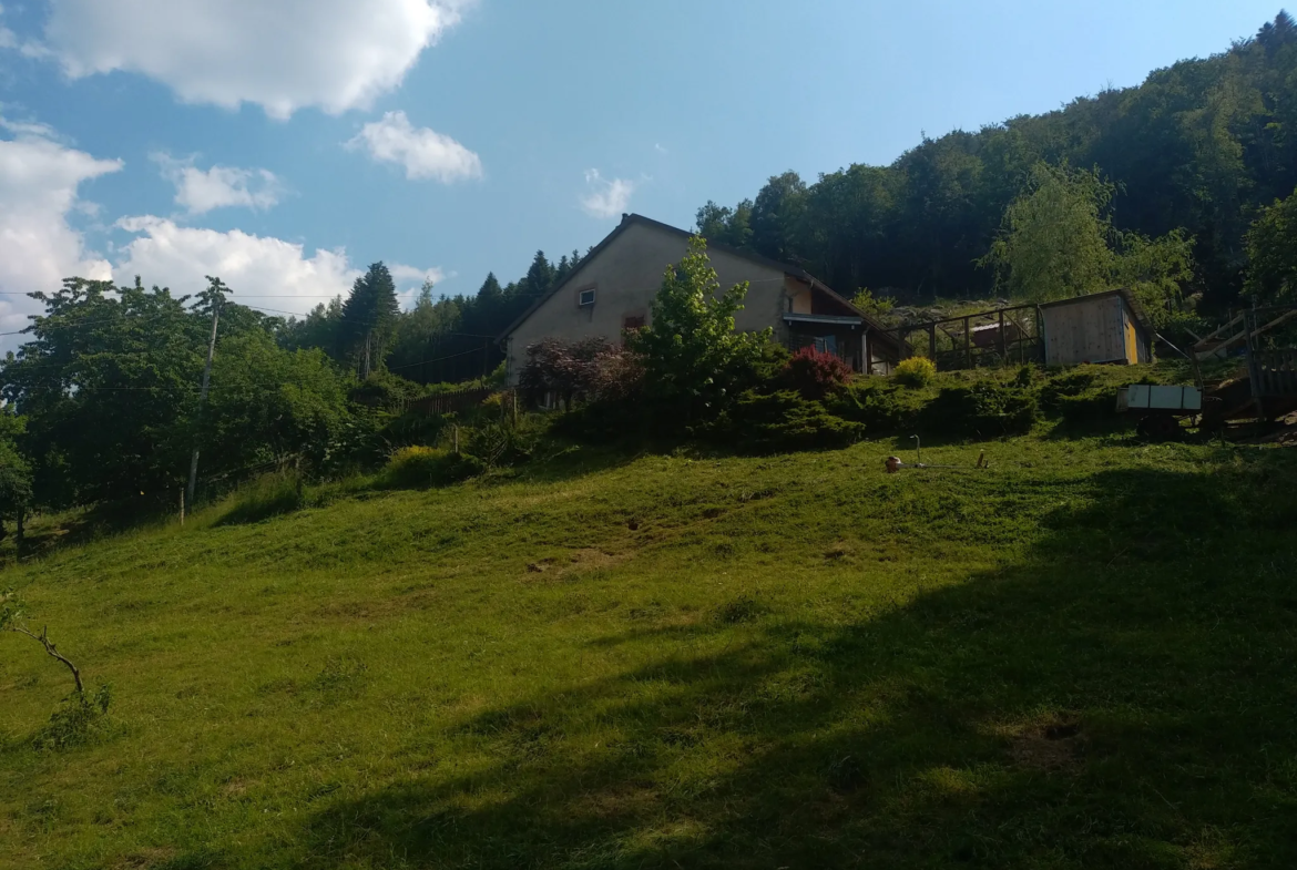 Ferme Rénovée de Charme à Proximité de Gérardmer 