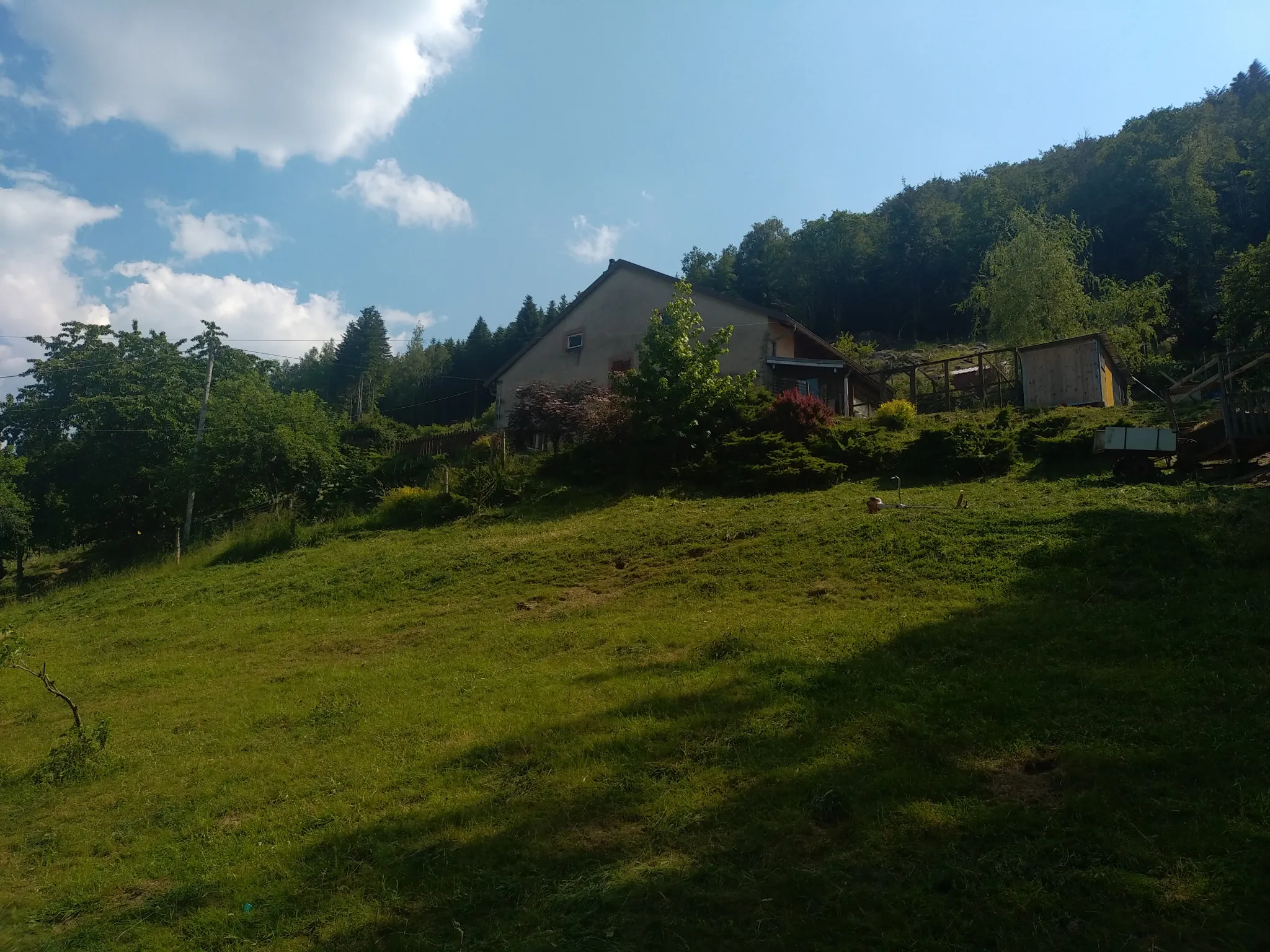 Ferme Rénovée de Charme à Proximité de Gérardmer 