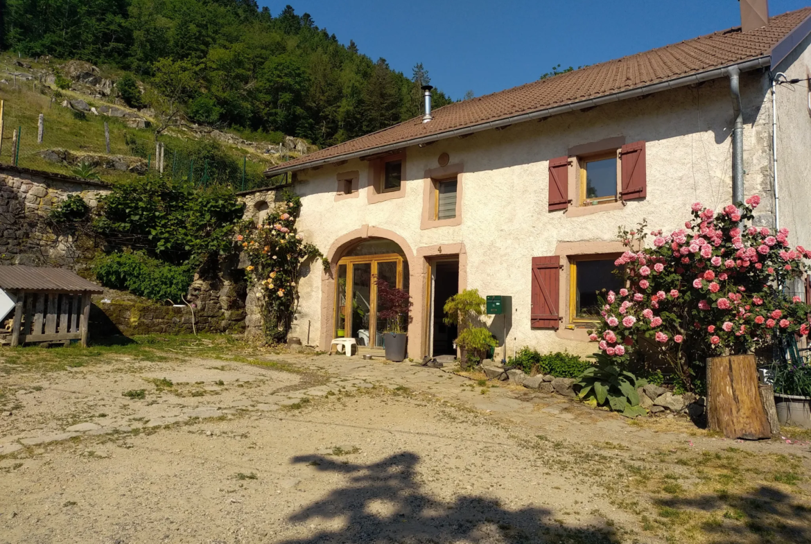 Ferme Rénovée de Charme à Proximité de Gérardmer 