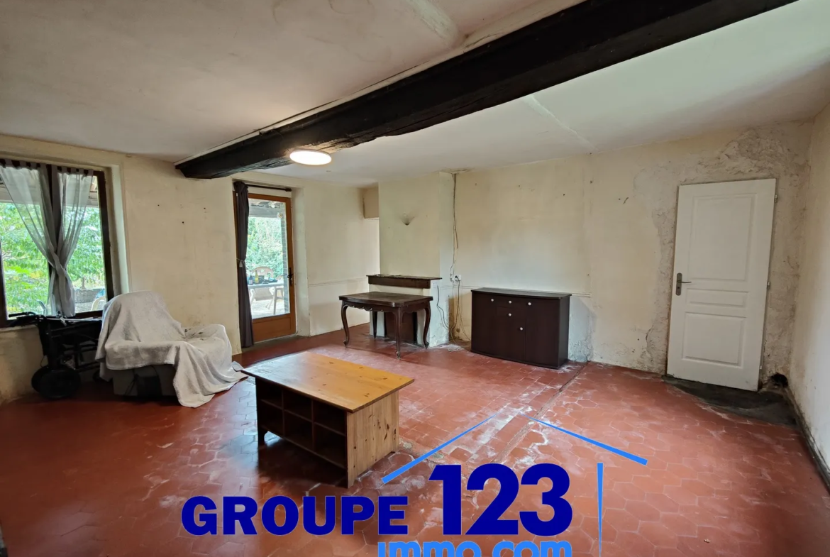 Maison avec potentiel exceptionnel à Brion - 1 chambre, 3501 m² de terrain 