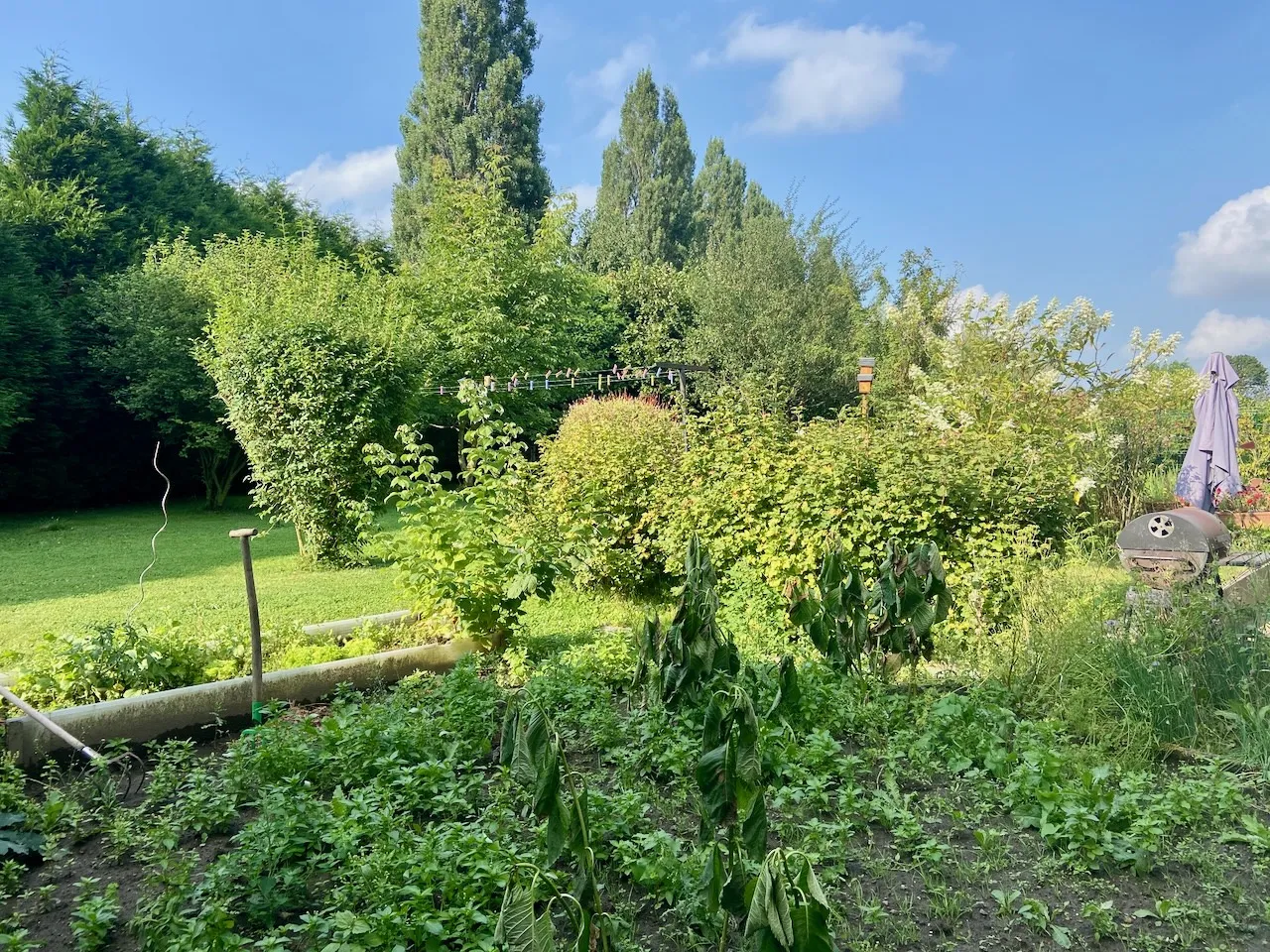 Fermette individuelle de 260 m2 à Maubeuge avec jardin 