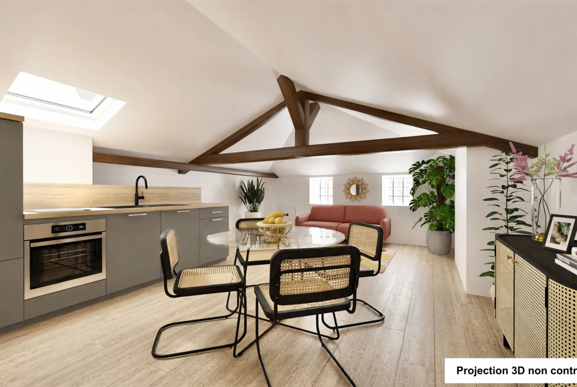 À vendre : Appartement T2 entièrement rénové au cœur de Villefranche 