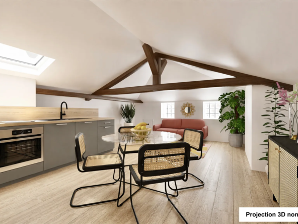 À vendre : Appartement T2 entièrement rénové au cœur de Villefranche