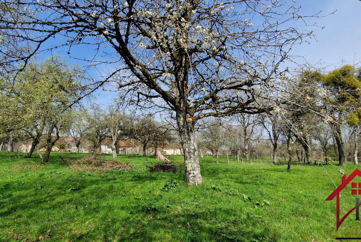 À vendre : Maison de caractère avec jardin à Soyers - 55 000 euros 