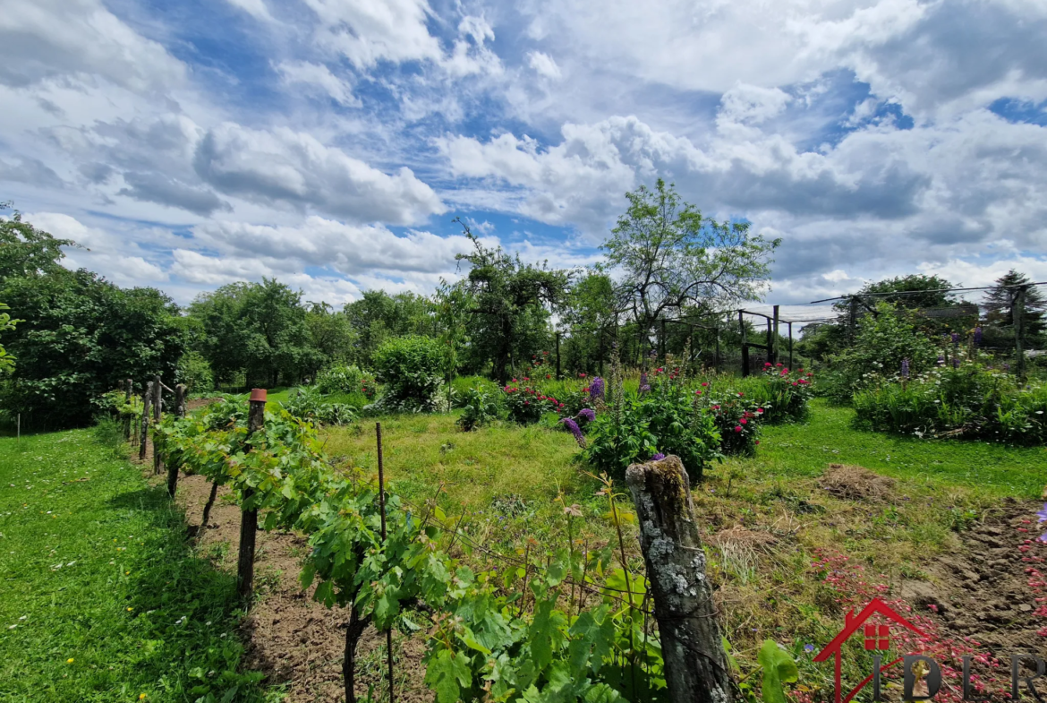 À vendre : Maison de caractère avec jardin à Soyers - 55 000 euros 