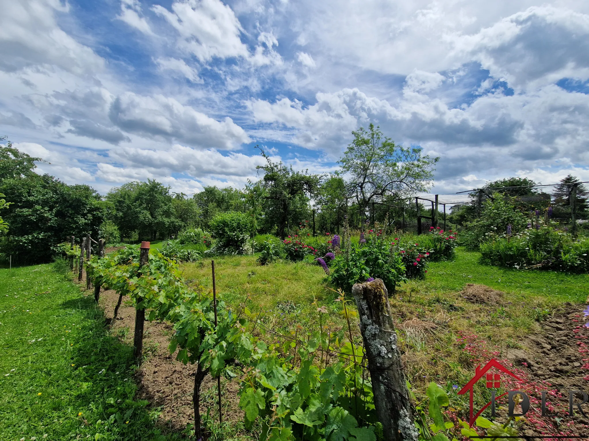 À vendre : Maison de caractère avec jardin à Soyers - 55 000 euros 