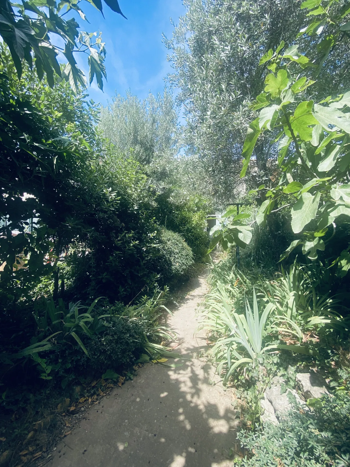 Maison T4 à Avignon Extra Muros avec jardin et garage 