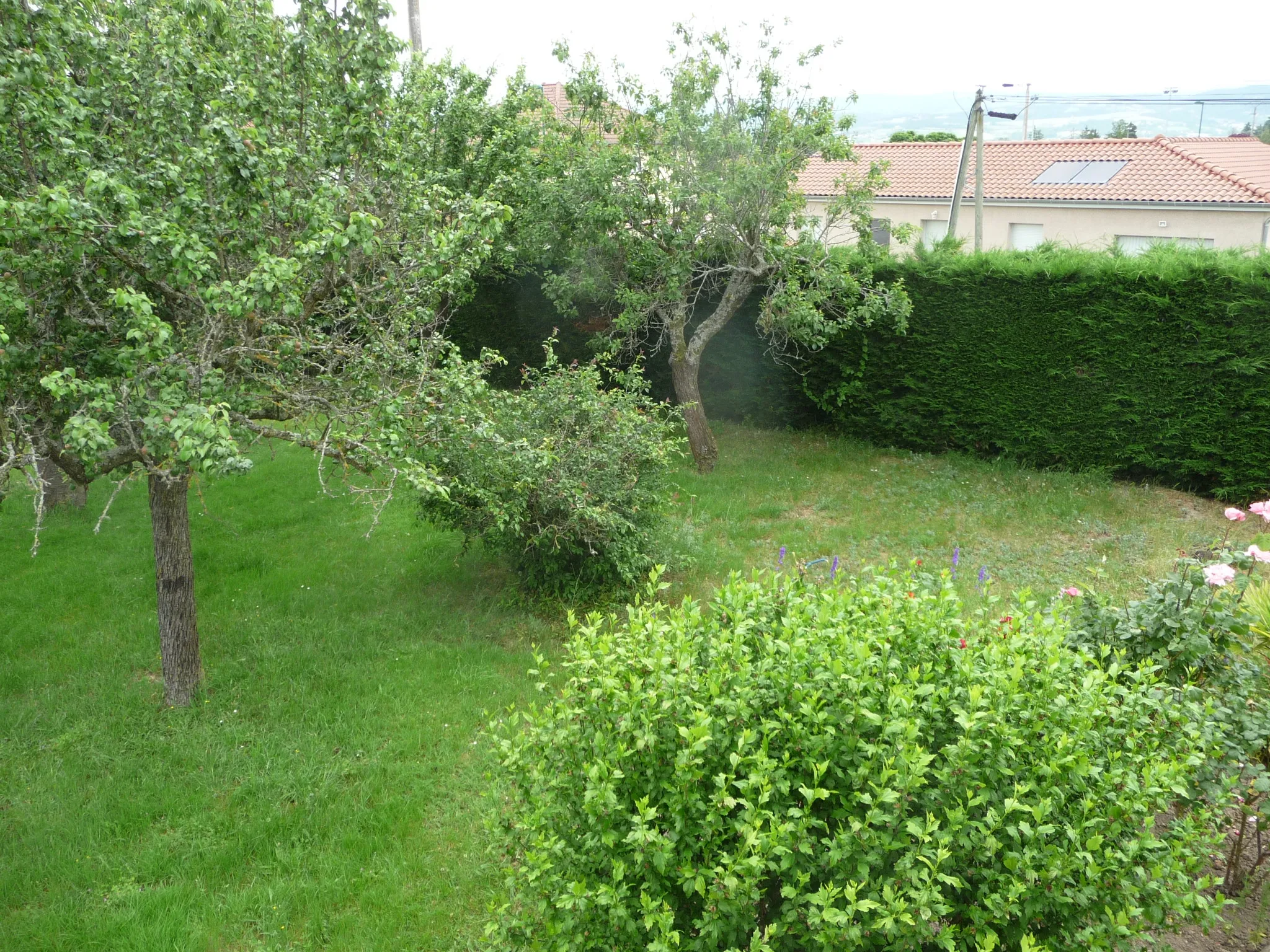 Maison à Saint Etienne Le Molard sur terrain de 3502 m² 