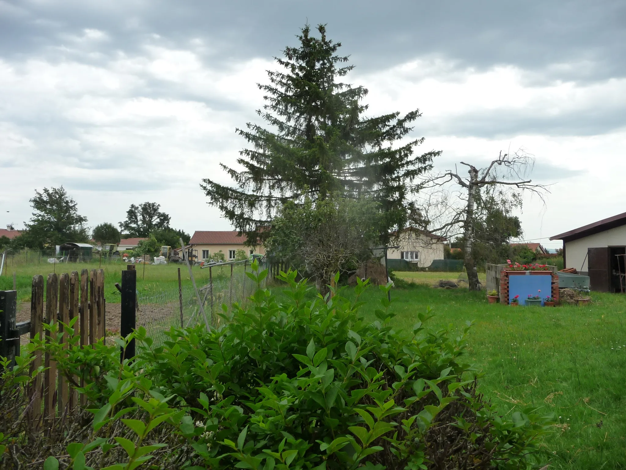 Maison à Saint Etienne Le Molard sur terrain de 3502 m² 