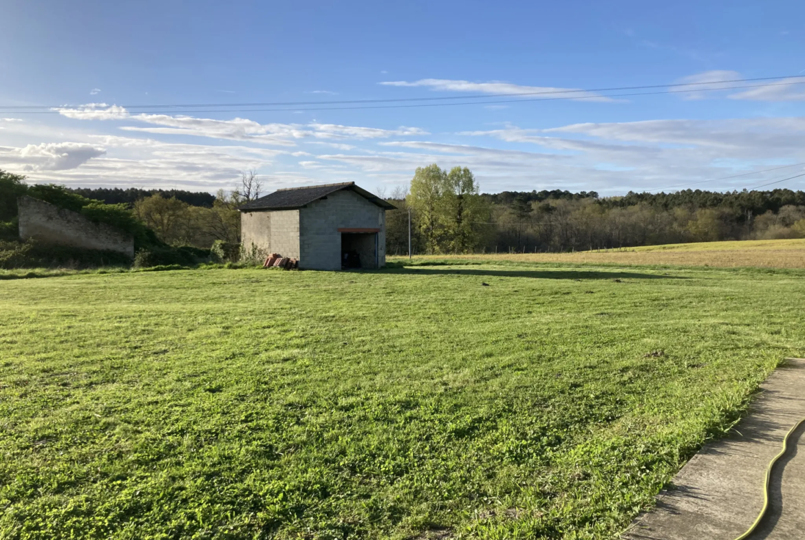 Maison 130 m² rénovée à vendre à Bazas avec grand jardin et vue dégagée 