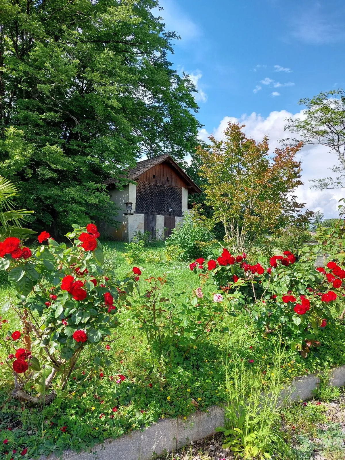 Charmante maison girondine avec dépendances à Sauveterre de Guyenne 