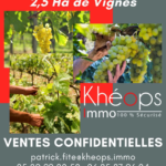 Parcelles de Vignes AOC Sauternes à vendre - 2,5 hectares