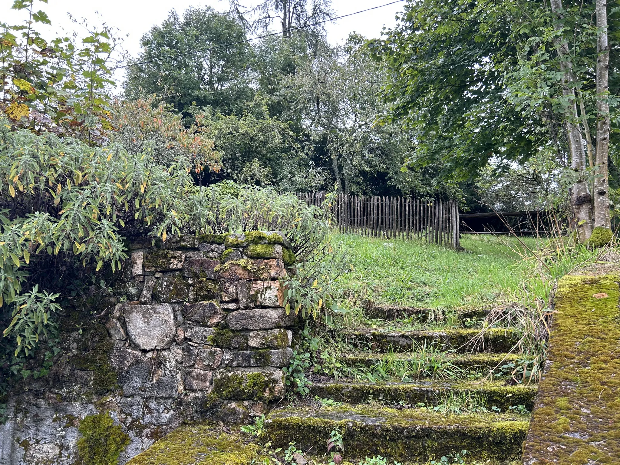 Vente maison à Meymac en Corrèze - 2 chambres 