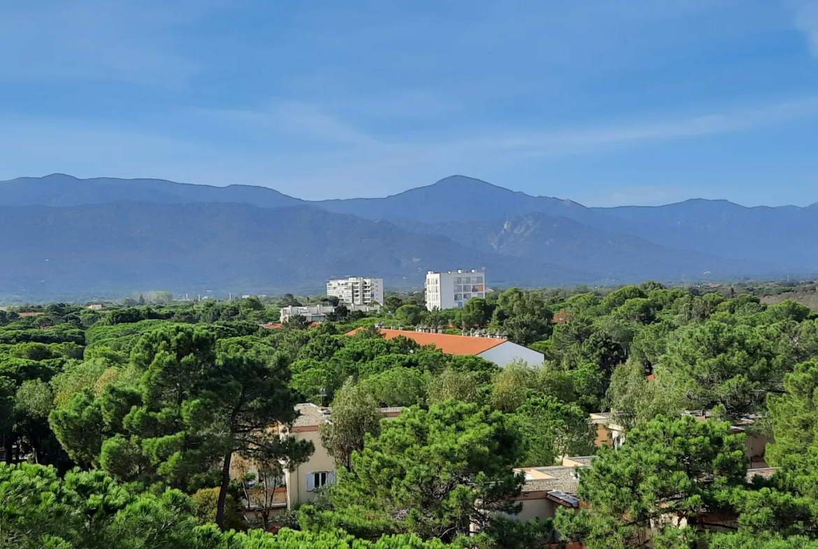 Appartement en vente à Argelès-sur-Mer les pieds dans l'eau 