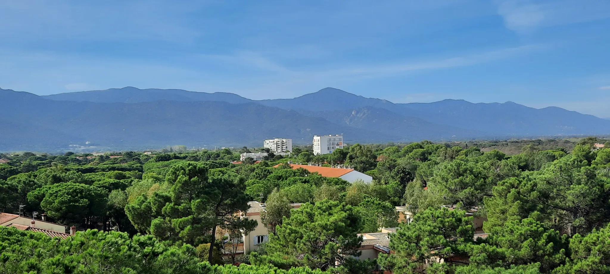 Appartement en vente à Argelès-sur-Mer les pieds dans l'eau 