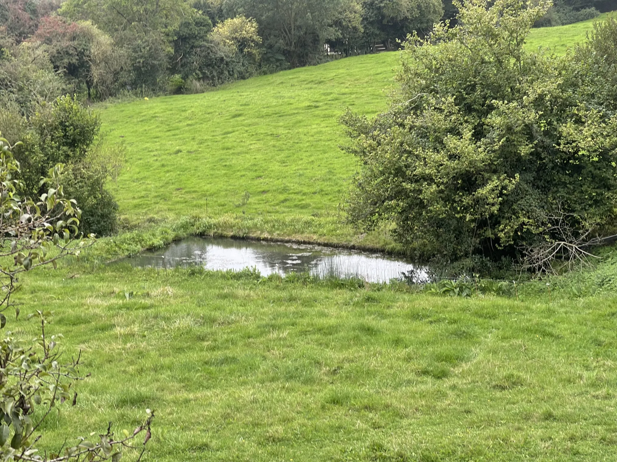 Belle longère normande à vendre à Canapville 