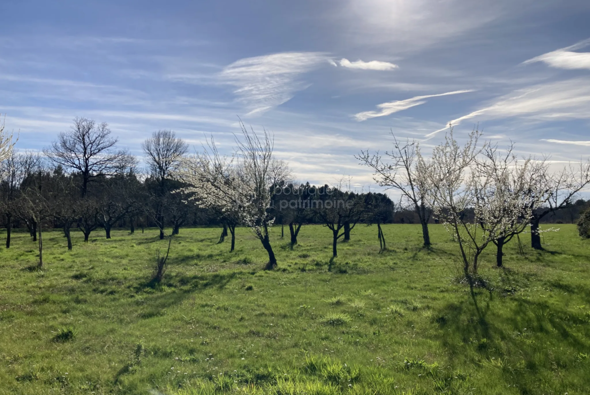 Propriété charmante en pierre à Grignols - 178 m² sur 4,5 hectares 