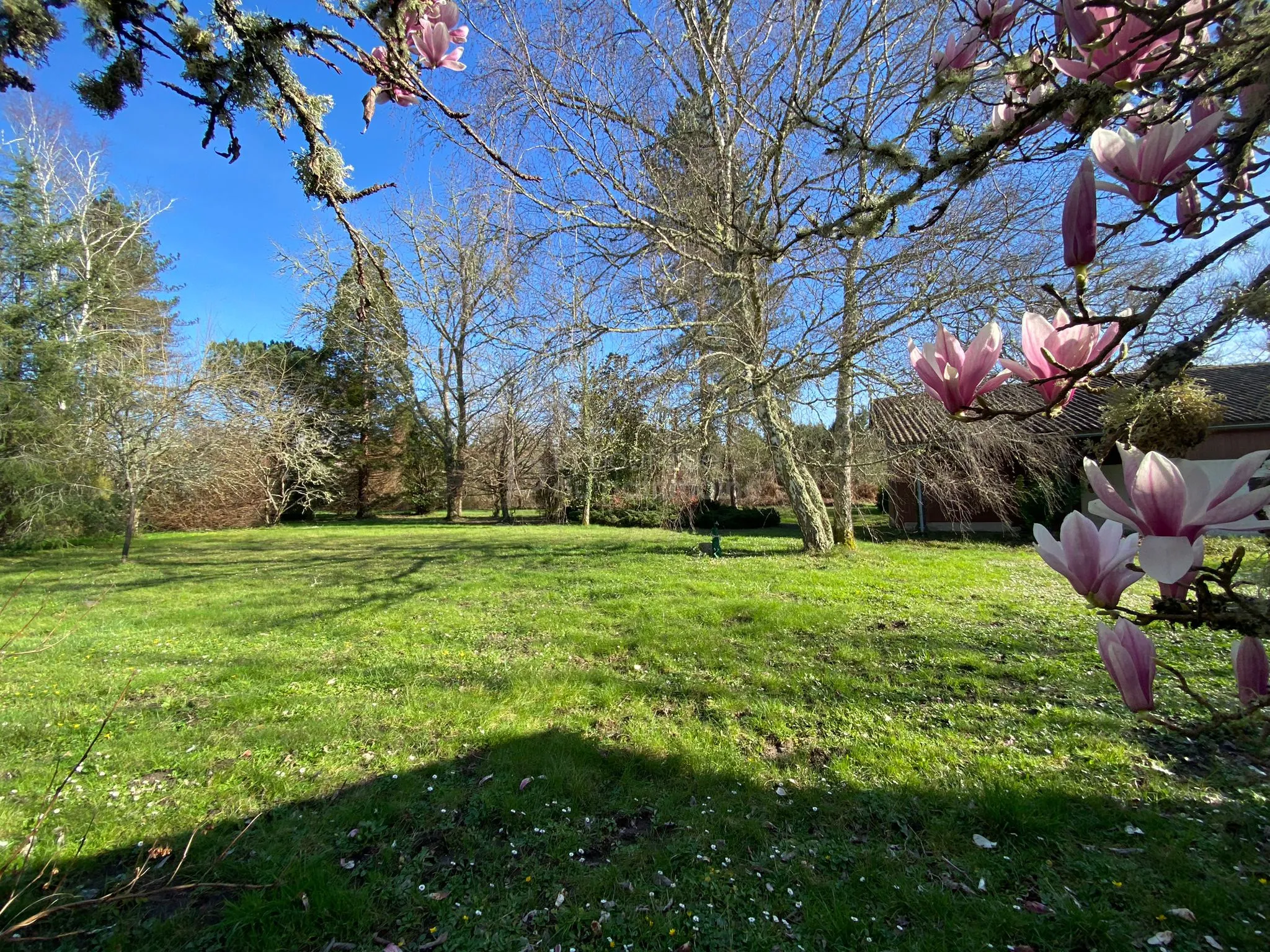 Propriété charmante en pierre à Grignols - 178 m² sur 4,5 hectares 